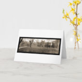 エールのニューヘブンCTの写真1909年 カード (黄色い花)