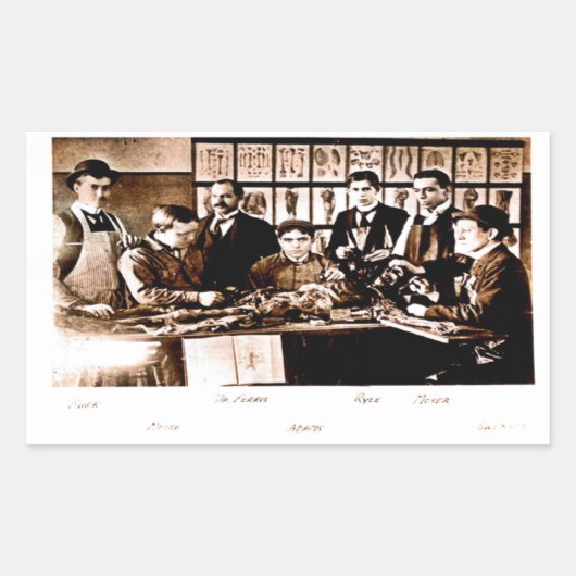 エール医療解剖学クラスステッカー 長方形シール (正面)