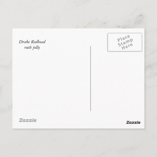 オアカガモ ポストカード (裏面)