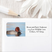 オアカガモ ラベル (インサイチュ)