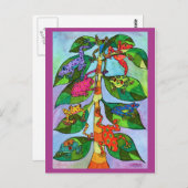 オアクサカンカエルの命の木 ポストカード (正面/裏面)