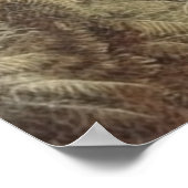 オアシスのシマウマの植物界 ポスター (角)