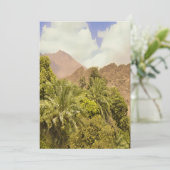 オアシスの発見 シーズンカード (スタンド正面)