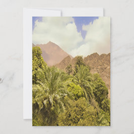 オアシスの発見 シーズンカード