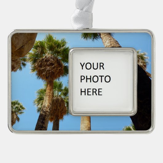 オアシスパームズアットジョシュアツリーナショナルパーク シルバープレートフレームオーナメント (正面)