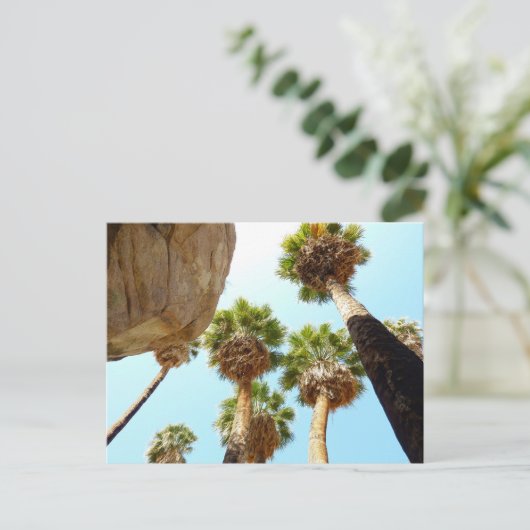 オアシスパームズアットジョシュアツリーナショナルパーク ポストカード (スタンド正面)