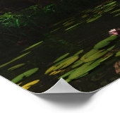 オアシス ポスター (角)