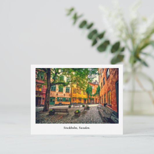 オアシス ポストカード (スタンド正面)