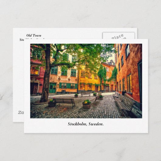 オアシス ポストカード (正面/裏面)