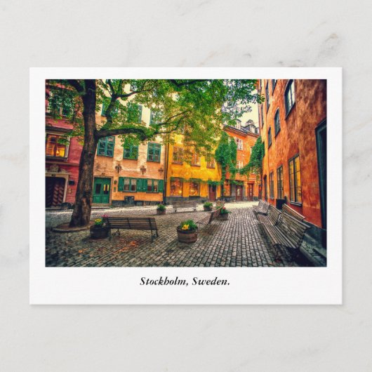 オアシス ポストカード (正面)