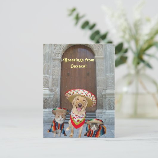 オアハカからこんにちは ポストカード (スタンド正面)