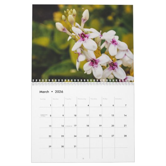 オアフさん,ハワイの写真を復元 カレンダー (3月 2026)