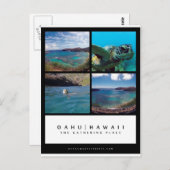 オアフハワイ花馬湾ポストカード ポストカード (正面/裏面)