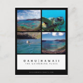 オアフハワイ花馬湾ポストカード ポストカード (正面)