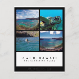 オアフハワイ花馬湾ポストカード ポストカード
