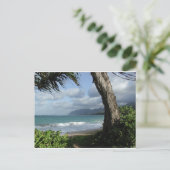 オアフビーチ ポストカード (スタンド正面)