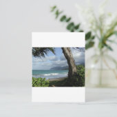 オアフ島のビーチ ポストカード (スタンド正面)