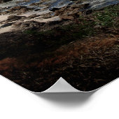 オアフ・シャークスコーブ ポスター (角)