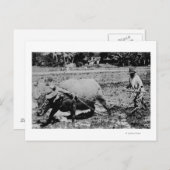 オアフ，ハワイ – 水牛&農家耕耘機 ポストカード (正面/裏面)