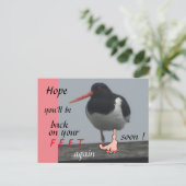 オイスターキャッチャーの回復おめでとうハガキ ポストカード (スタンド正面)