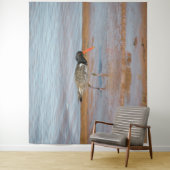 オイスターキャッチャー珍しい鳥の写真タペストリー タペストリー (インサイチュ)