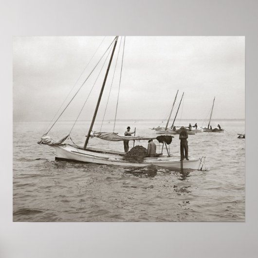 オイスターボート、1903年。ヴィンテージ写真 ポスター (正面)