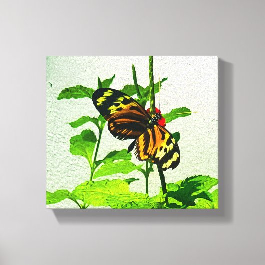 オイデス・イザベラ キャンバスプリント (正面)