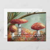 オイルペイントへのアドレス発表の変更 案内ポストカード (正面/裏面)