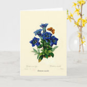 オウカリス下肢体 カード (黄色い花)