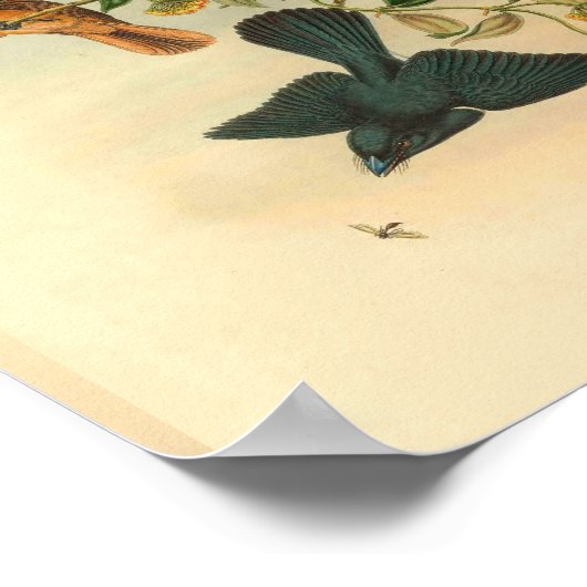 オウギウギウギウギウギウヴィンテージプリント ポスター (角)