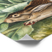 オウギウサギ ポスター (角)