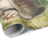 オウギウサギ ラッピングペーパー (ロールコーナー)