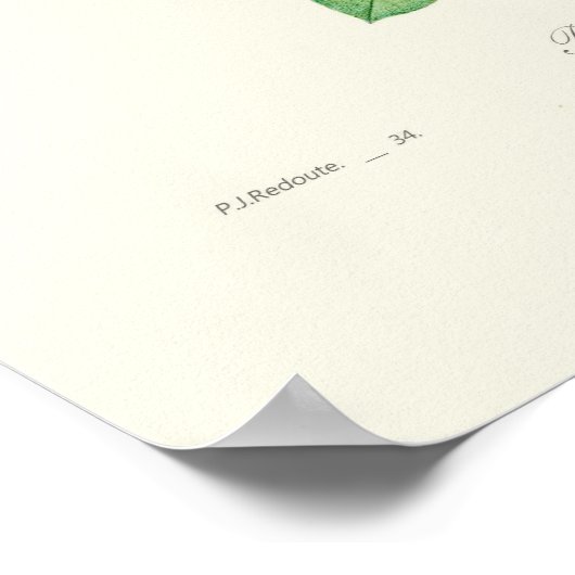 オウギョウ ポスター (角)