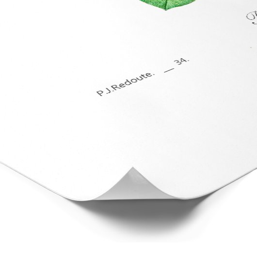 オウギョウ ポスター (角)