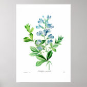 オウギョウ ポスター (正面)