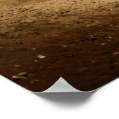 オウスターテール ポスター (角)