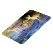 オウズウズラ マグネット (左側)