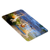 オウズウズラ マグネット (右側)