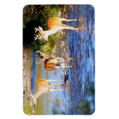 オウズウズラ マグネット (縦)