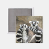 オウズラの輪 マグネット (正面/裏面)