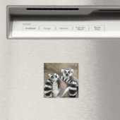 オウズラの輪 マグネット (インサイチュ (食洗機))