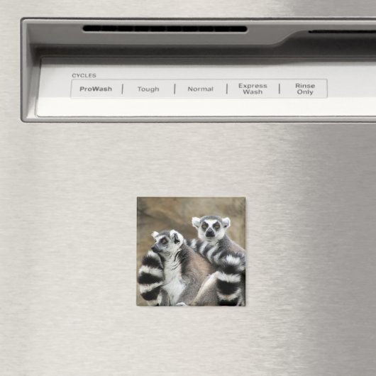 オウズラの輪 マグネット (インサイチュ (食洗機))