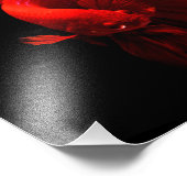 オウズラ フォトプリント            (角)