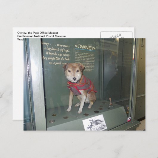 オウニー アメリカ郵政公社のマスコット ポストカード (正面/裏面)