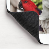 オウムおよびオウム マウスパッド (コーナー)