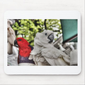 オウムおよびオウム マウスパッド