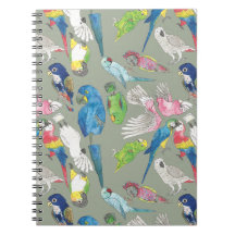 オウムおよび「Toos