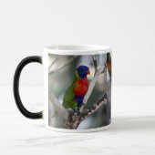 オウムおよびLorikeetsのマグ モーフィングマグカップ (左)