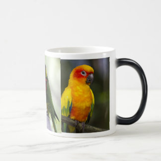 オウムおよびLorikeetsのマグ モーフィングマグカップ