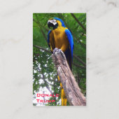 オウムが名刺を出す 名刺 (裏面)